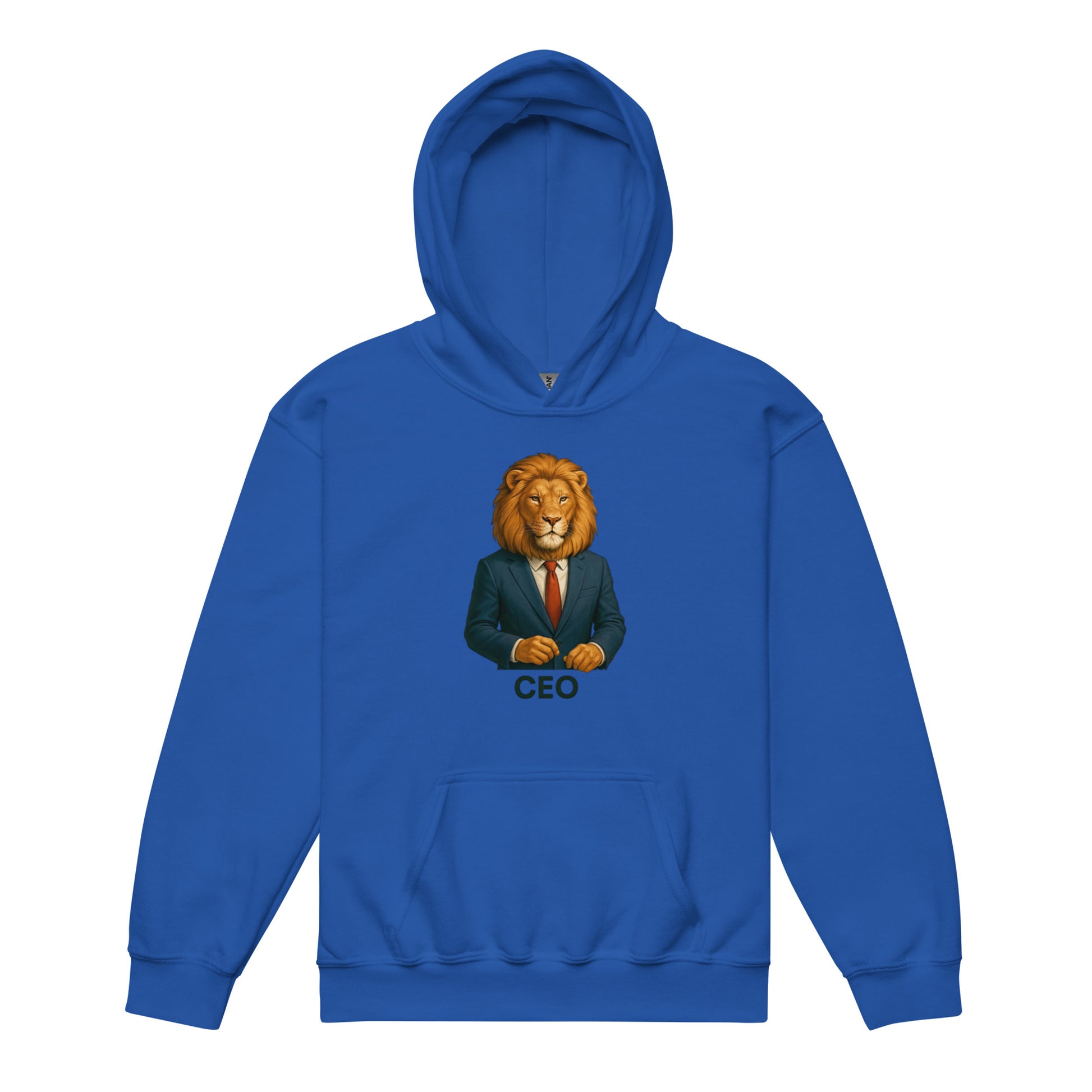 Hoodie with bold graphic print, original design for modern streetwear